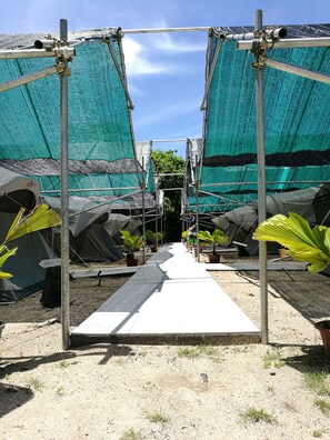 해변에 위치, 스노클링, 비치 발리볼, 카야킹