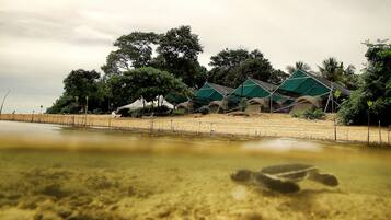 Accommodatie ligt op het strand, snorkelen, beachvolleybal, kajakken