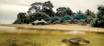 Walai Penyu Resort - Campground