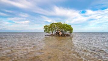 Voorkant van accommodatie