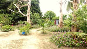 庭園