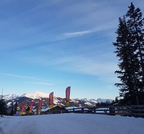 Paisaje nevado con una cabaña de madera y varias banderas rojas en primer plano.