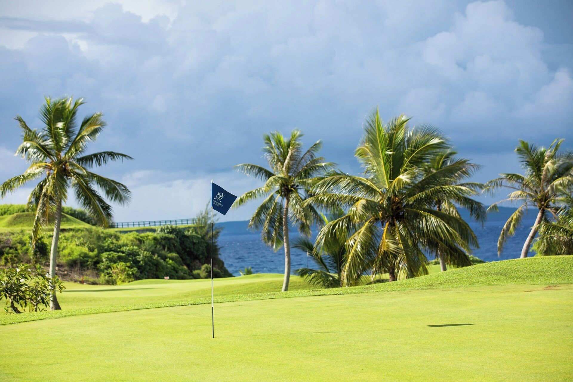 A golf course with a flag, palm trees, and a view of the ocean.