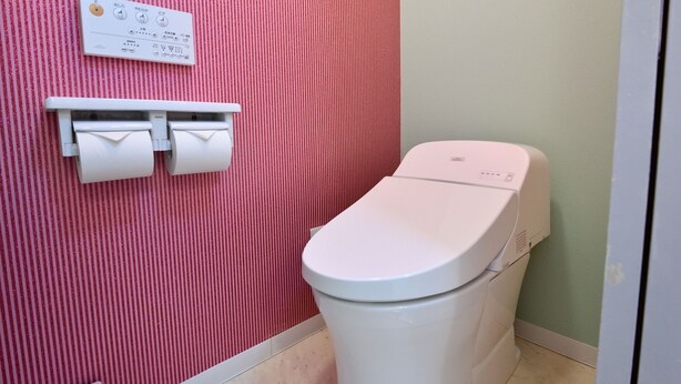 A bathroom with a toilet, a wall-mounted flush control panel, and a toilet paper holder.