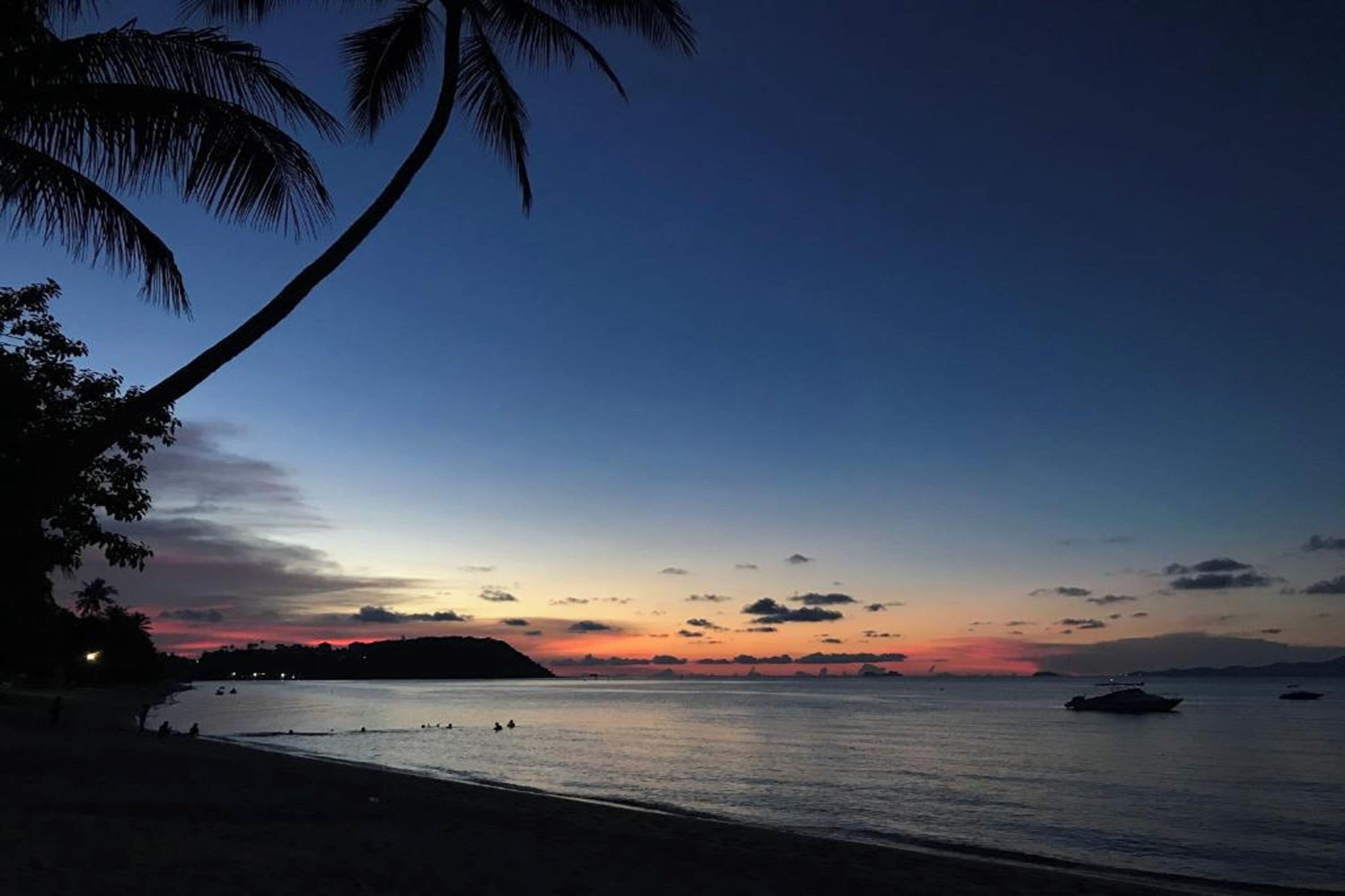 Escena de playa al anochecer con mar tranquilo, palmeras y barcos a la distancia.