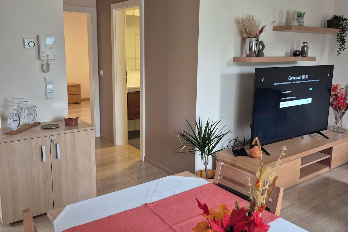 Classic Apartment | Living area | 52-inch LCD TV with satellite channels, TV