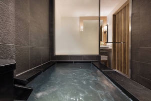 Combined shower/tub, free toiletries, hair dryer, bidet