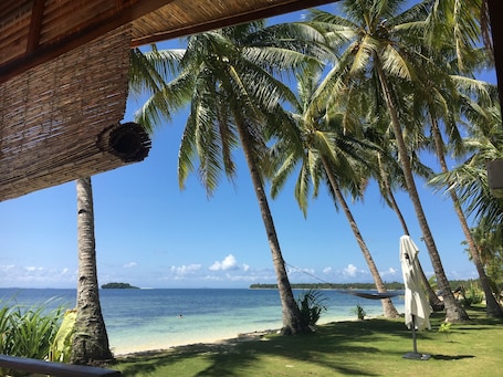 Vista desde la propiedad