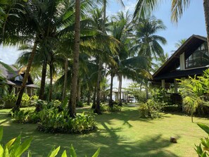 Garden view - Sandy Feet Siargao (General Luna)