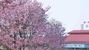 Ein Gebäude mit rotem Dach und einem Schild mit japanischen Schriftzeichen.