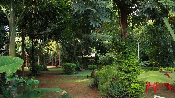 Property grounds - Kilimanjaro Safaris Lodge (Moshi)