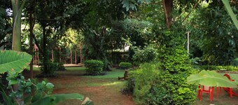 Kilimanjaro Safaris Lodge