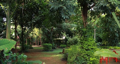 Kilimanjaro Safaris Lodge