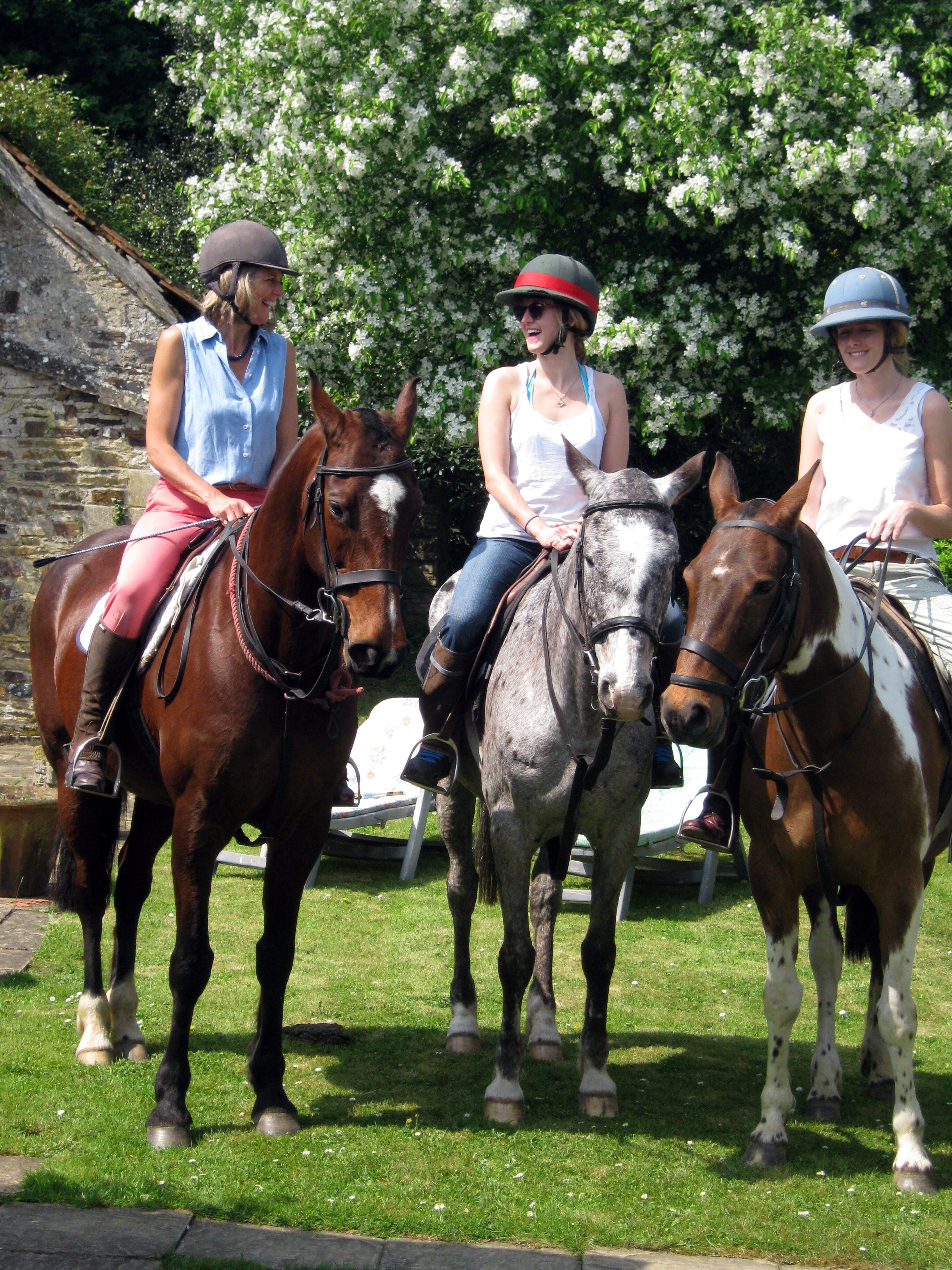 Three people riding horses in a grassy area with a stone wall and flowering trees in the background.