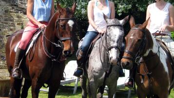 Three people riding horses in a grassy area with a stone wall and flowering trees in the background.