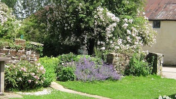 Trädgård