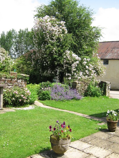 Hollamoor Farm B&B