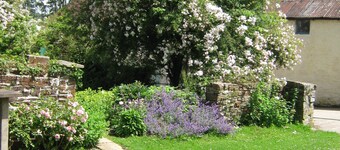 Hollamoor Farm B&B