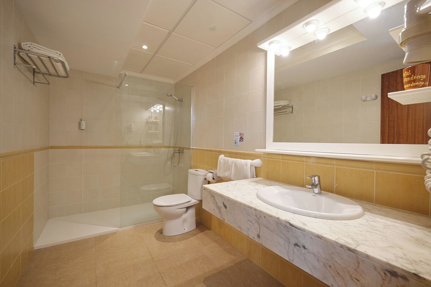 Een badkamer met een douchecabine van glas, een toilet, een wastafel met een marmeren blad en een grote spiegel.