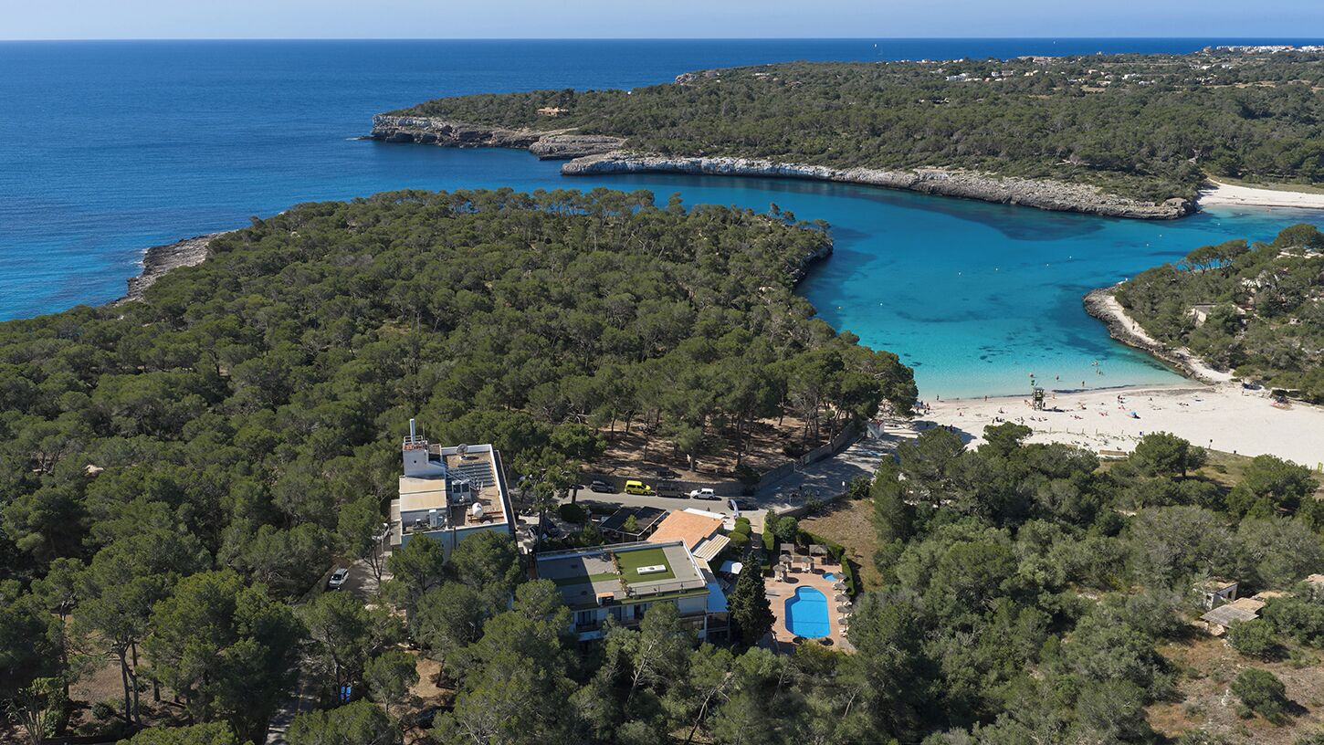 Vista aérea de una propiedad costera con piscina, playa y un bosque denso.