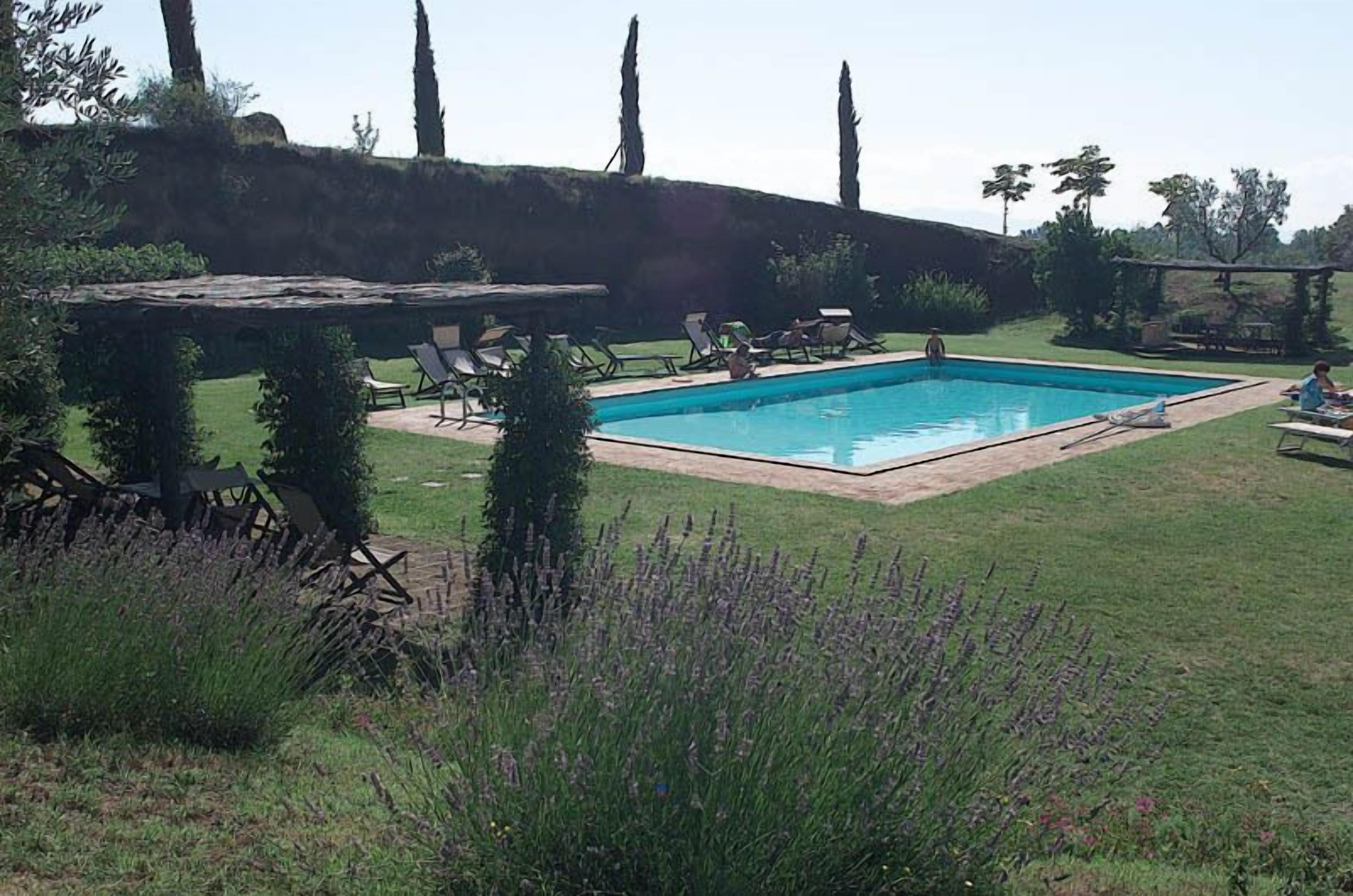 A rectangular swimming pool surrounded by a grassy area with lounge chairs and a pergola.