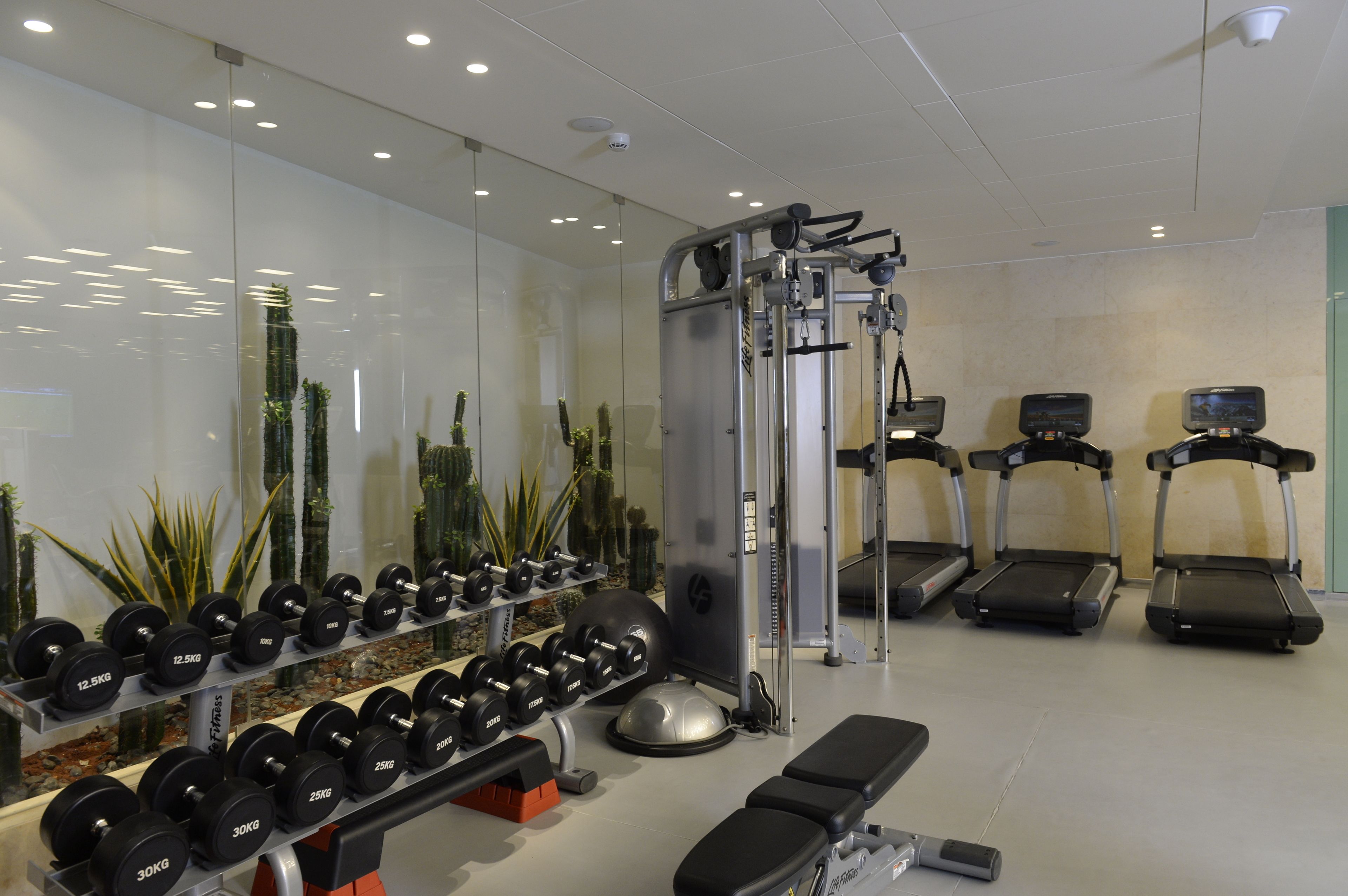 A modern gym with weightlifting equipment, treadmills, and a bench.