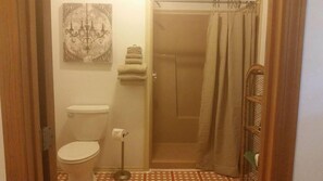 Habitación | Baño | Regadera y secadora de cabello
