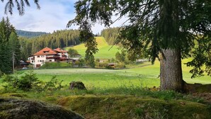 Eksteriør