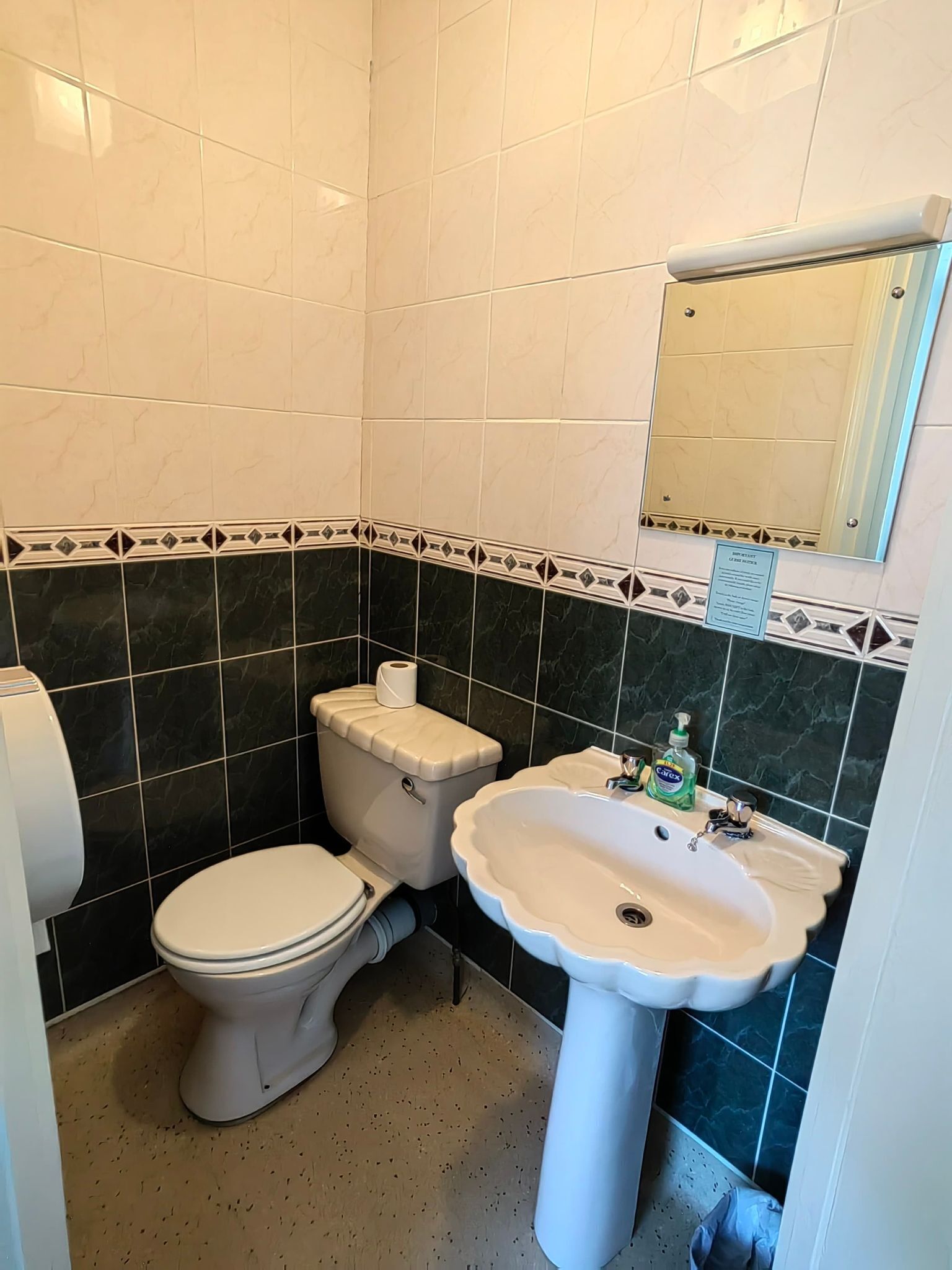 A bathroom with a toilet, sink, and mirror.