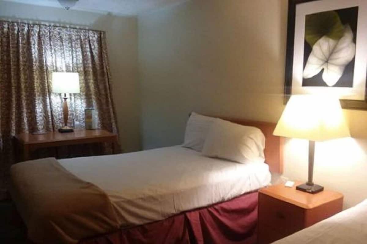 Une chambre d’hôtel avec un lit, une table de chevet avec une lampe, une fenêtre avec des rideaux et un tableau encadré au mur.