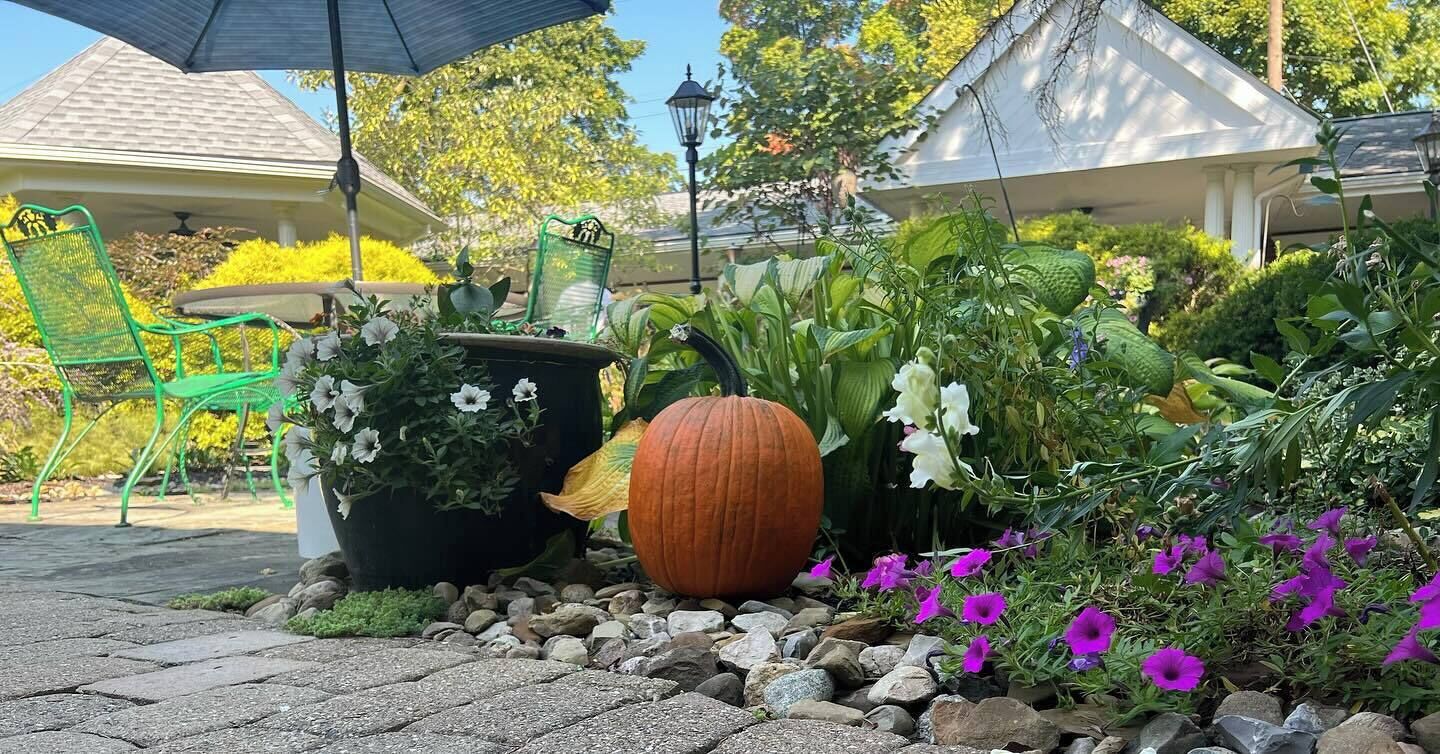 A garden with a large pumpkin, various plants, and a green chair.