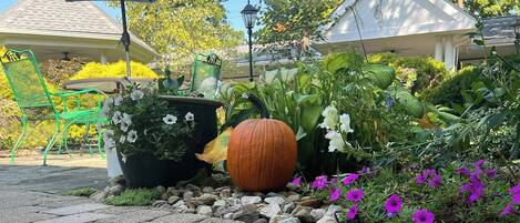 A garden with a large pumpkin, various plants, and a green chair.
