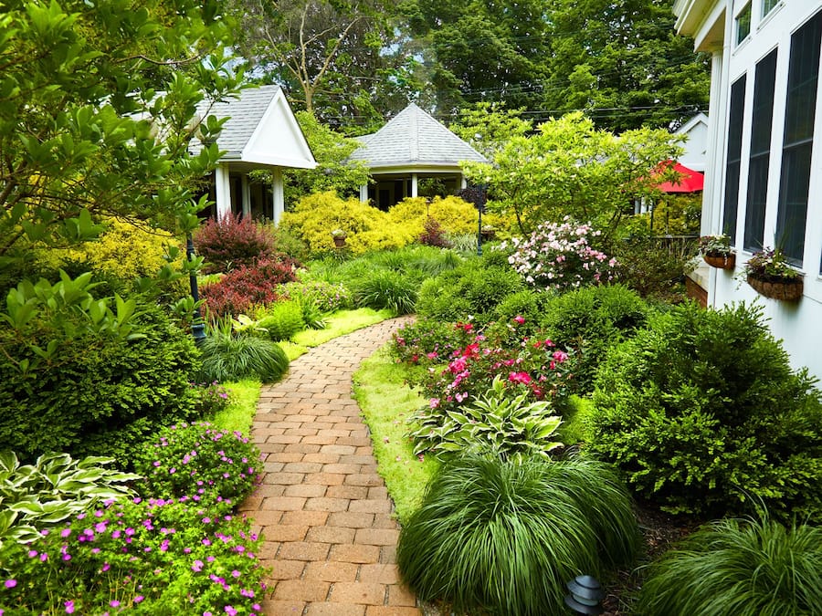 Utsikt fra overnattingsstedet