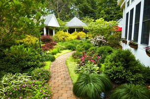 Vista da propriedade