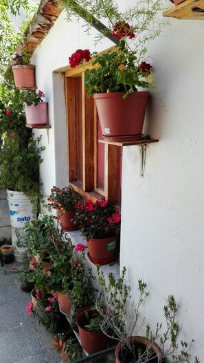 Family Room (3 pax) | View from room