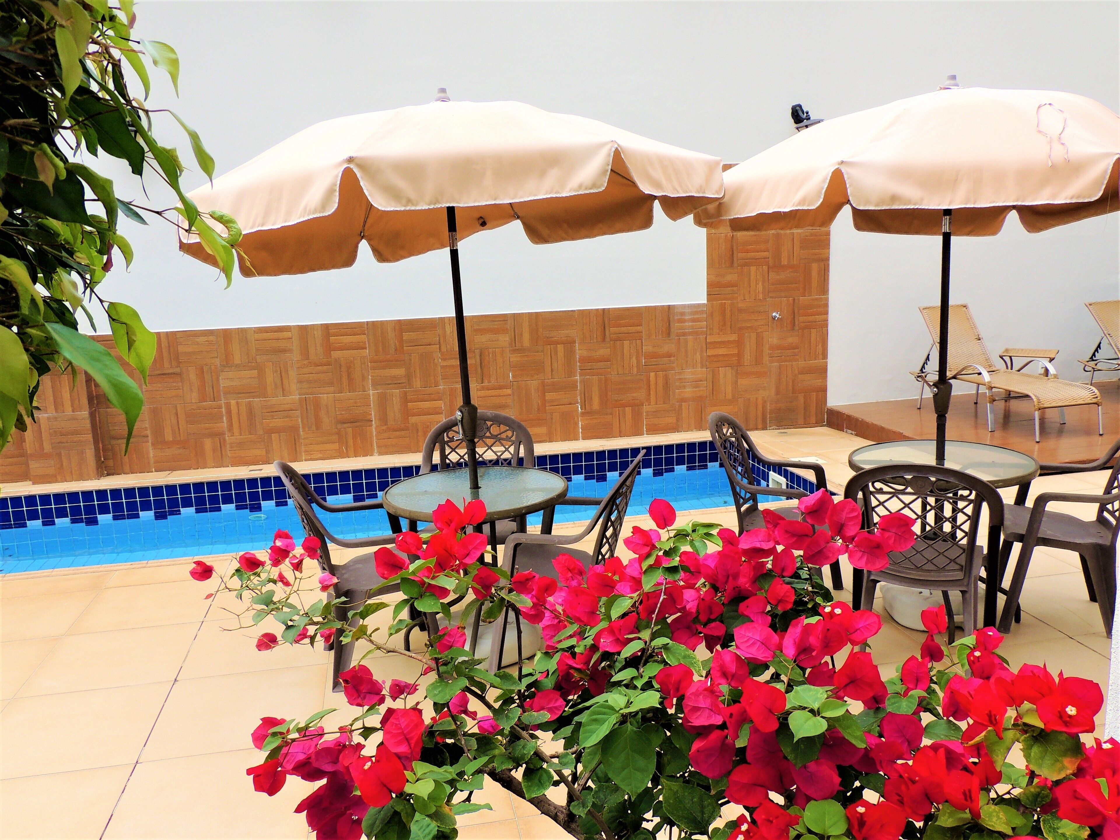 Un espace extérieur avec piscine, comprenant des chaises longues et des parasols, entouré d’une piscine carrelée et d’un mur en bois.