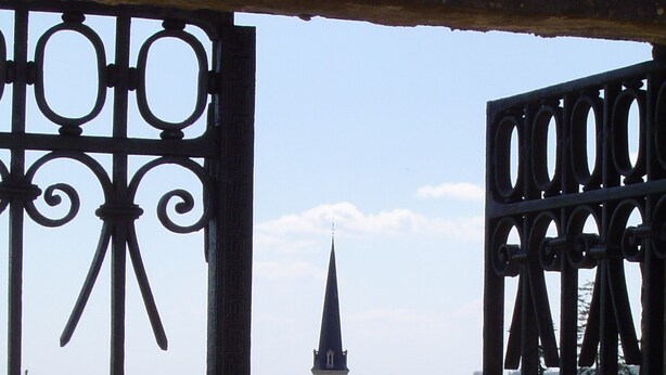 Viñedo con hileras de parras y una iglesia con una aguja alta al fondo.