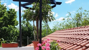 Una terraza en la azotea con baldosas de terracota, plantas en macetas y una estructura de pérgola.
