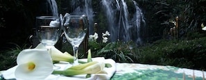 Une table avec deux verres et un bouquet de fleurs devant une cascade.