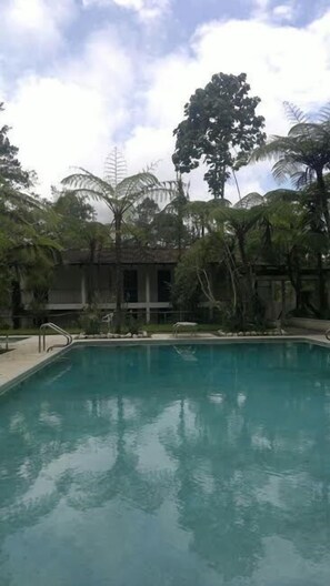 Une piscine entourée d’arbres tropicaux et un bâtiment à l’architecture moderne.