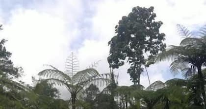 Hotel Posada Montaña del Quetzal