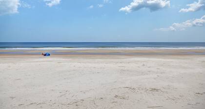 Dog Friendly Ground Level Duplex by RedAwning