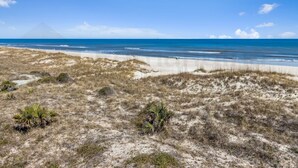 A beach with sand dunes and sparse vegetation.