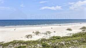 A beach with a clear sky, sandy shore, and some vegetation in the foreground. - Modest Condo with Splendid Sunrise Views by RedAwning (Fernandina Beach)