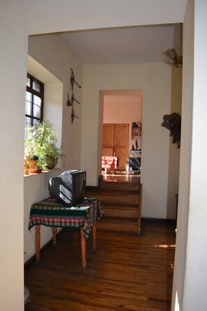 Un pasillo con suelo de madera, un televisor sobre una mesa y una planta en maceta junto a una ventana.