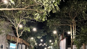 A pathway lined with trees and streetlights leading to a building with a thatched roof and modern architecture. - Lavigo Resort (Langkawi)