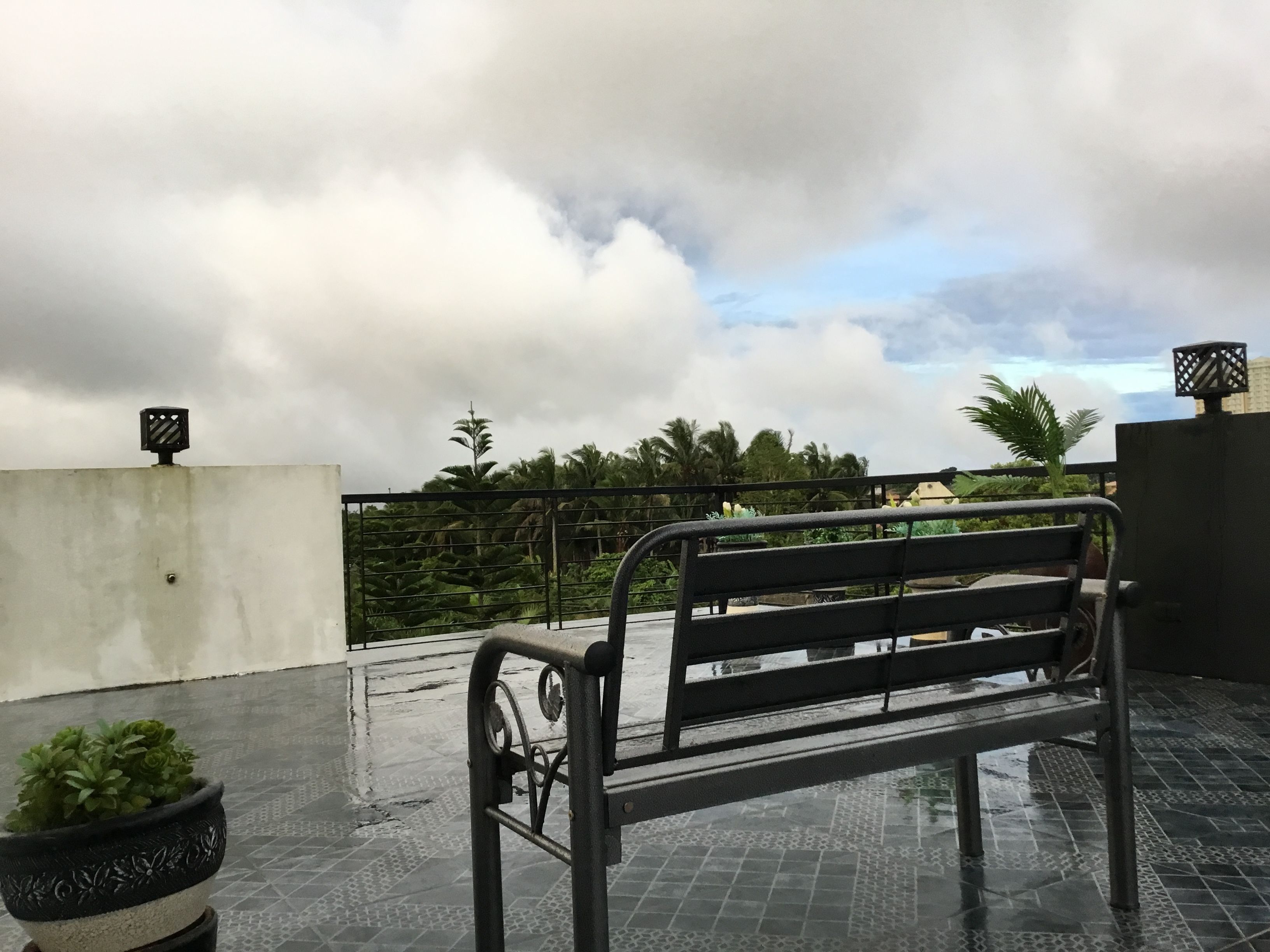 premium suite, 1 king bed | balcony