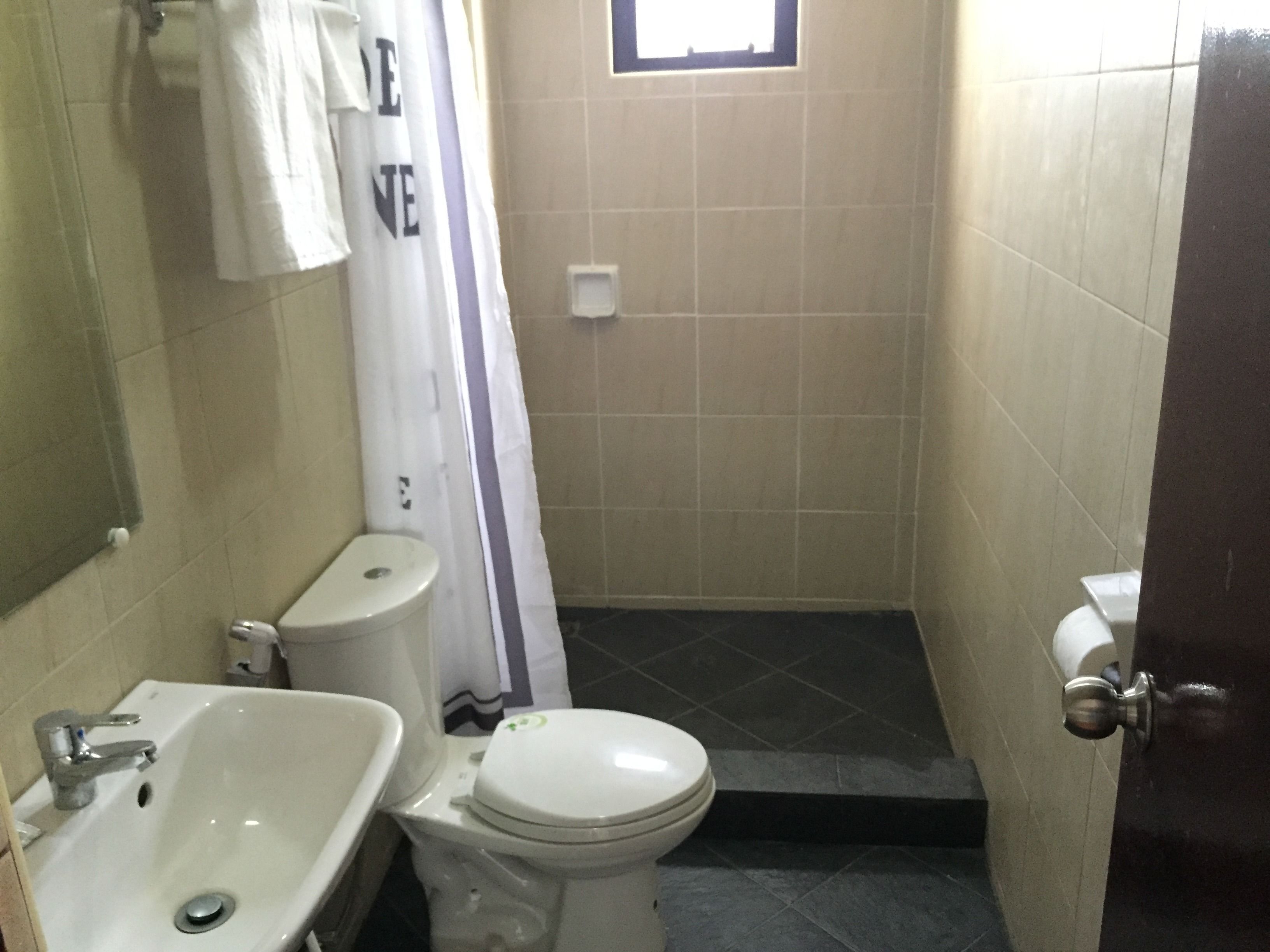 A bathroom with a sink, toilet, and shower curtain.