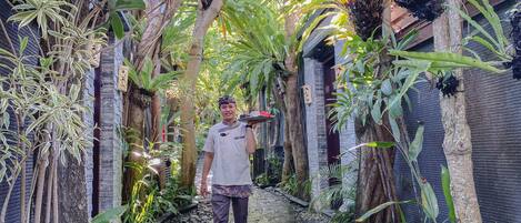 A pathway flanked by lush greenery and architectural elements, leading to a building entrance.
