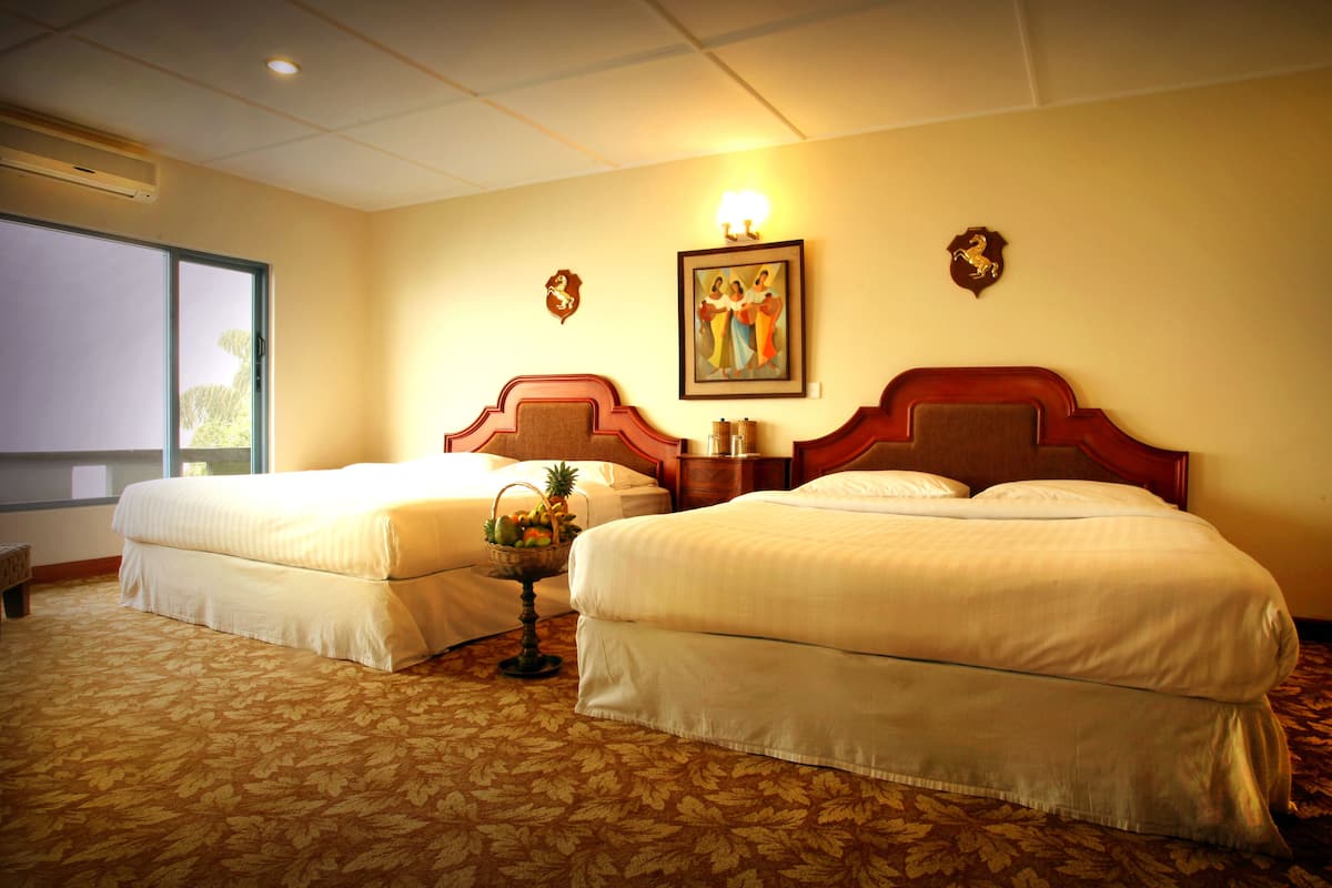 Suite, Balcony, Mountain View | Desk, rollaway beds (surcharge), WiFi (free)